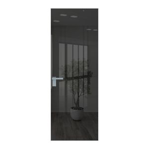 1 AGK цвет Зеркало Grey кромка Матовая