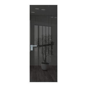 1 AGK цвет Зеркало Grey кромка Серебро