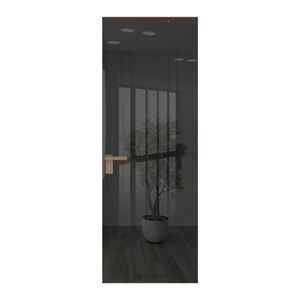 1 AGK цвет Зеркало Grey кромка Шампань