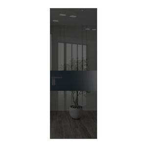 5 AGK цвет Зеркало Grey вставка Блэк кромка Черный матовый