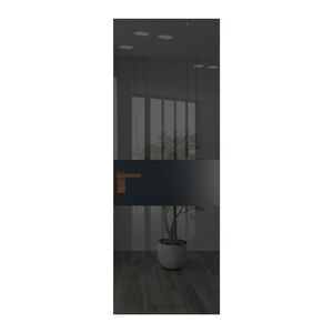 5 AGK цвет Зеркало Grey вставка Блэк кромка Деорэ
