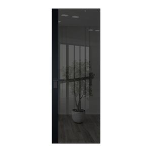 6 AGK цвет Зеркало Grey вставка Блэк кромка Черный матовый
