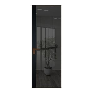 6 AGK цвет Зеркало Grey вставка Блэк кромка Деорэ