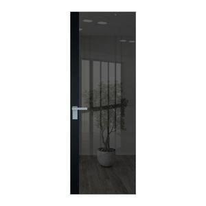 6 AGK цвет Зеркало Grey вставка Блэк кромка Матовая