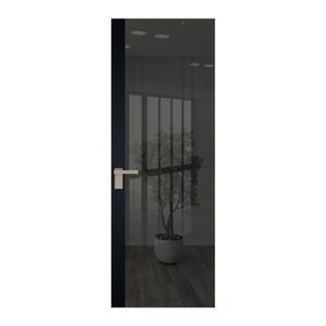 6 AGK цвет Зеркало Grey вставка Блэк кромка Никель матовый
