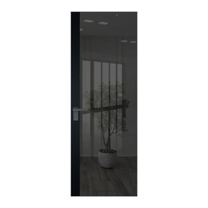 6 AGK цвет Зеркало Grey вставка Блэк кромка Серая ночь