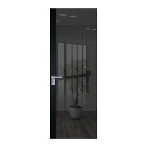 6 AGK цвет Зеркало Grey вставка Блэк кромка Серебро