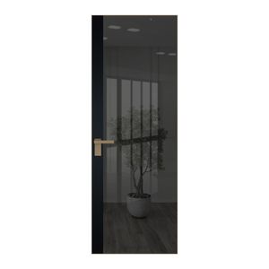 6 AGK цвет Зеркало Grey вставка Блэк кромка Шампань