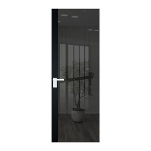 6 AGK цвет Зеркало Grey вставка Блэк кромка Вайт