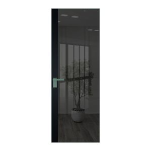 6 AGK цвет Зеркало Grey вставка Блэк кромка Зеленый воск