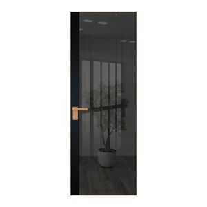 6 AGK цвет Зеркало Grey вставка Блэк кромка Золото