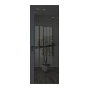 6 AGK цвет Зеркало Grey вставка Графит кромка Черный матовый