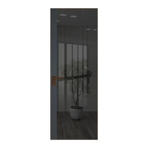 6 AGK цвет Зеркало Grey вставка Графит кромка Деорэ