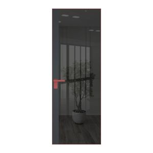 6 AGK цвет Зеркало Grey вставка Графит кромка Красный антрацит