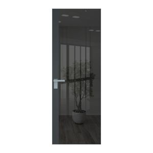 6 AGK цвет Зеркало Grey вставка Графит кромка Матовая