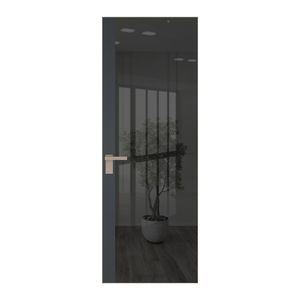 6 AGK цвет Зеркало Grey вставка Графит кромка Никель матовый