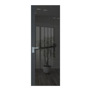 6 AGK цвет Зеркало Grey вставка Графит кромка Серебро