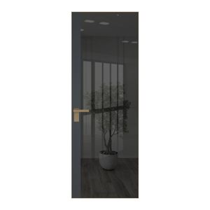6 AGK цвет Зеркало Grey вставка Графит кромка Шампань
