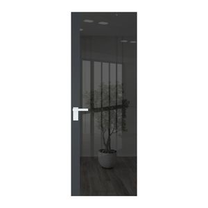 6 AGK цвет Зеркало Grey вставка Графит кромка Вайт