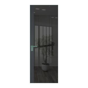 6 AGK цвет Зеркало Grey вставка Графит кромка Зеленый воск