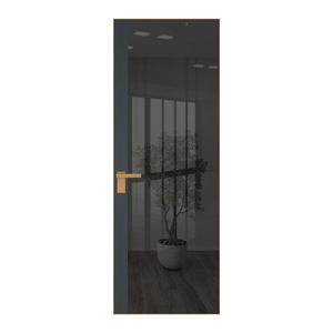6 AGK цвет Зеркало Grey вставка Графит кромка Золото