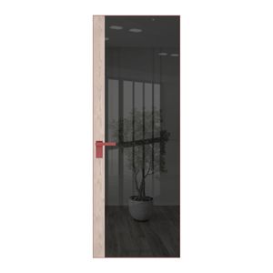 6 AGK цвет Зеркало Grey вставка Каштан светлый кромка Красный антрацит
