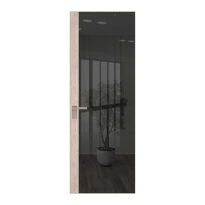 6 AGK цвет Зеркало Grey вставка Каштан светлый кромка Никель матовый