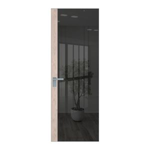 6 AGK цвет Зеркало Grey вставка Каштан светлый кромка Серебро