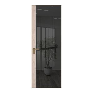 6 AGK цвет Зеркало Grey вставка Каштан светлый кромка Шампань