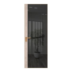 6 AGK цвет Зеркало Grey вставка Каштан светлый кромка Золото