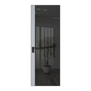 6 AGK цвет Зеркало Grey вставка Лайт Грей кромка Черный матовый