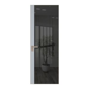 6 AGK цвет Зеркало Grey вставка Лайт Грей кромка Никель матовый