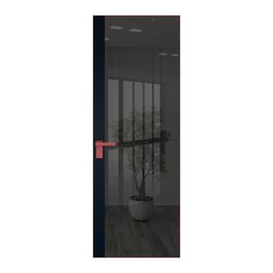 6 AGK цвет Зеркало Grey вставка Нэви Блу кромка Красный антрацит