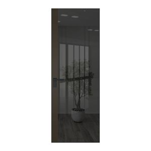 6 AGK цвет Зеркало Grey вставка Перламутр бронза кромка Черный матовый