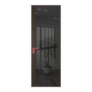 6 AGK цвет Зеркало Grey вставка Перламутр бронза кромка Красный антрацит