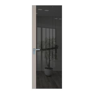 6 AGK цвет Зеркало Grey вставка Сэнд кромка Серебро