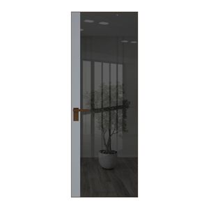 6 AGK цвет Зеркало Grey вставка Смоки кромка Деорэ