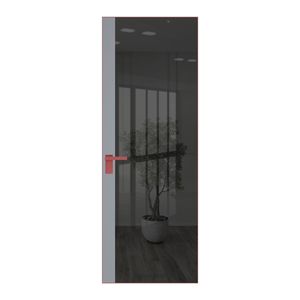 6 AGK цвет Зеркало Grey вставка Смоки кромка Красный антрацит