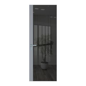 6 AGK цвет Зеркало Grey вставка Смоки кромка Матовая