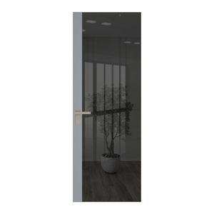 6 AGK цвет Зеркало Grey вставка Смоки кромка Никель матовый