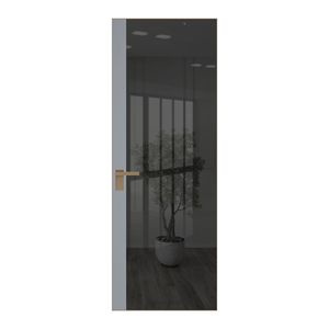 6 AGK цвет Зеркало Grey вставка Смоки кромка Шампань