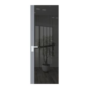 6 AGK цвет Зеркало Grey вставка Смоки кромка Вайт