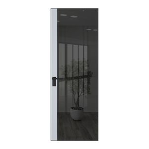 6 AGK цвет Зеркало Grey вставка Вайт кромка Черный матовый