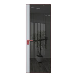 6 AGK цвет Зеркало Grey вставка Вайт кромка Красный антрацит