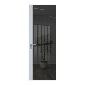 6 AGK цвет Зеркало Grey вставка Вайт кромка Матовая