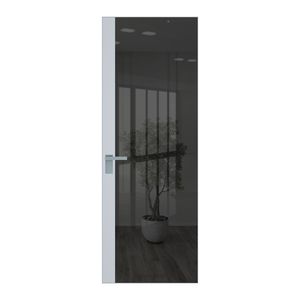 6 AGK цвет Зеркало Grey вставка Вайт кромка Серебро
