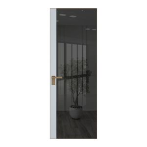 6 AGK цвет Зеркало Grey вставка Вайт кромка Шампань