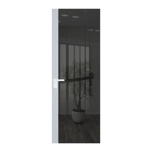6 AGK цвет Зеркало Grey вставка Вайт кромка Вайт
