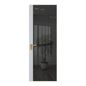 6 AGK цвет Зеркало Grey вставка Вайт кромка Золото